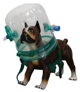 Caschi per terapia CPAP