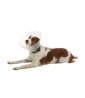 Collare Clic Buster