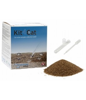 Sabbia raccolta urine gatto