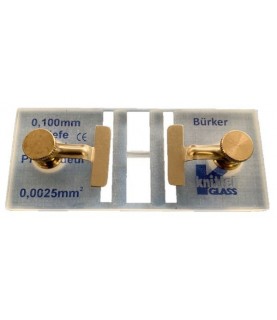 Vetrino camera Burker doppia con pinze