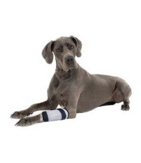 BRACCIALE PROTEZIONE AGHI VENOSI MEDIUM